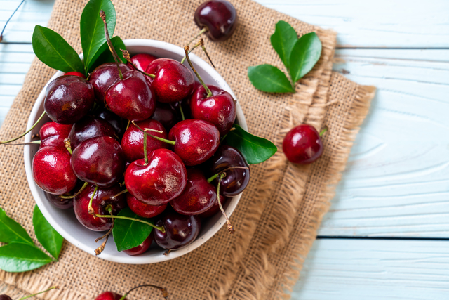 can dogs eat cherries, cherries for dogs