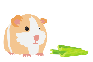 can guinea pigs eat celery, celery for guinea pigs