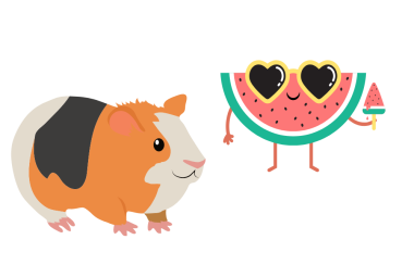 can guinea pigs eat watermelon